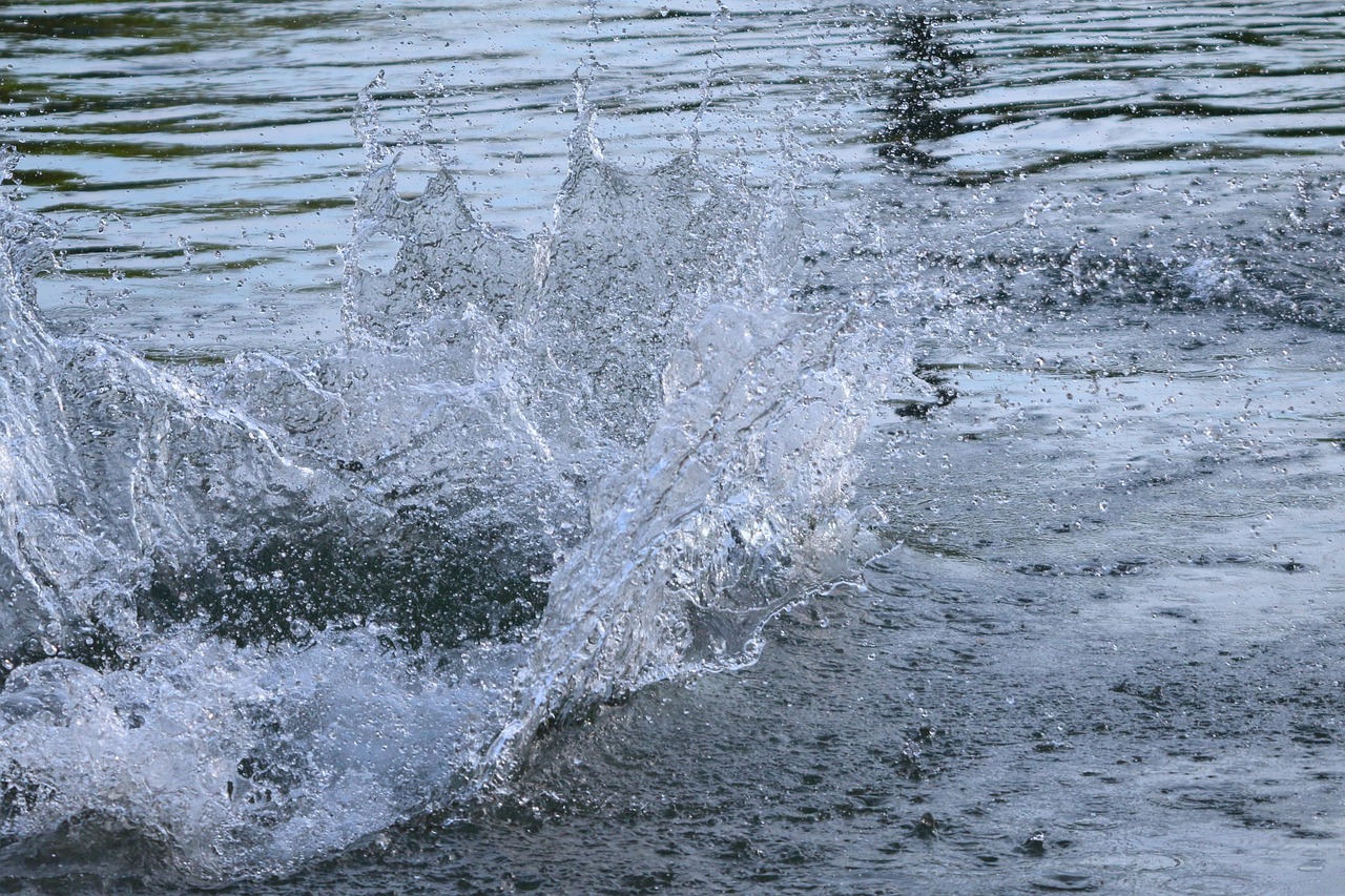 Le Monstre Sans-Mort